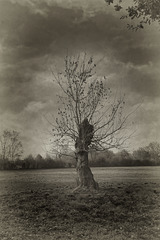 Résistance. Résistance.