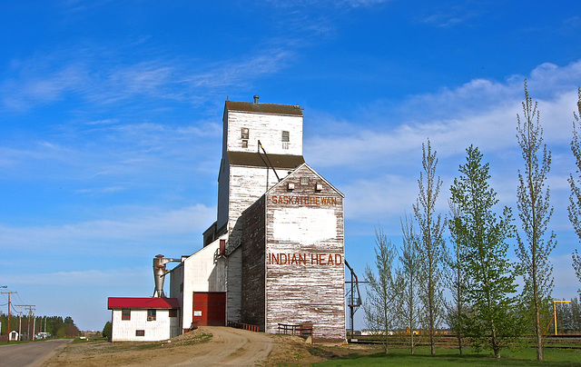 In Saskatchewan.