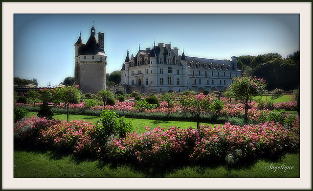 Chenonceau !