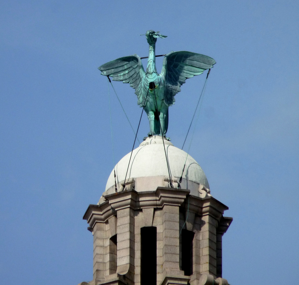 Liver Bird Sculpture