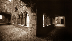 Bective Abbey cloisters (pinhole)