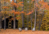 Cabin, Nahmakanta Lake Wilderness Camps