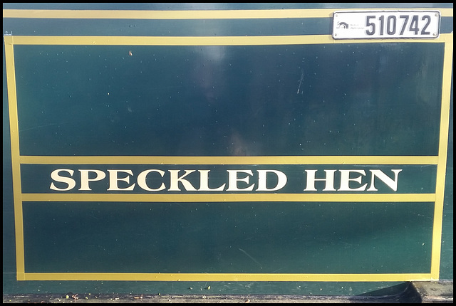 Speckled Hen