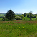 DE - Volkesfeld - Auf dem Traumpfad Heidehimmel