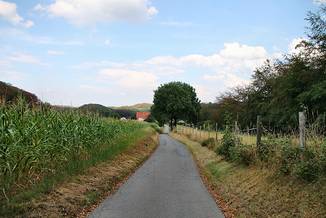 Alter Kohlenweg (Sprockhövel) / 16.08.2020