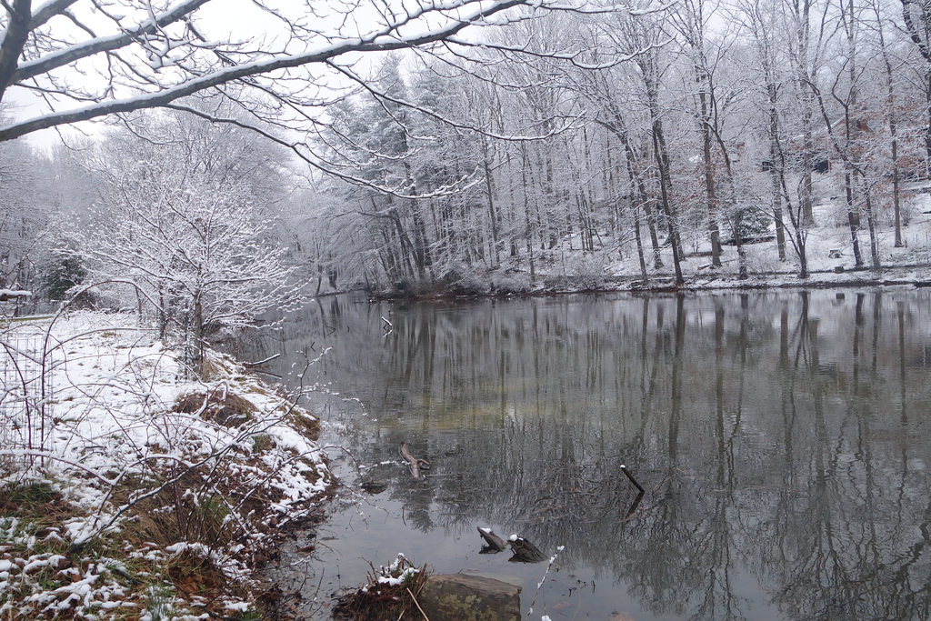 Snow covered lake shore