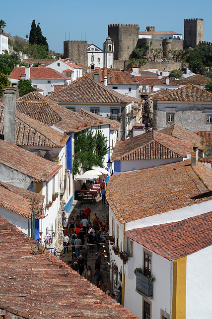 View from the town wall towards the castle