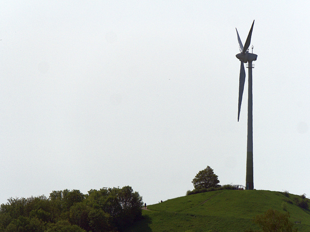 Windiger Dauerläufer