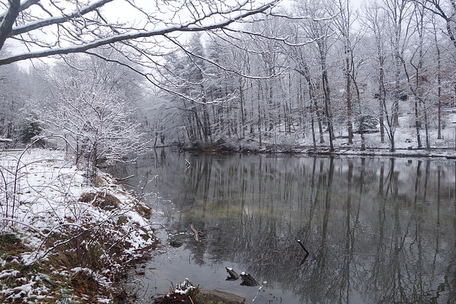 Snow covered lake shore