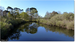 PARC du TEICH (33 Gironde) BLUE PLANET/PLANETE BLEUE