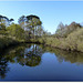 PARC du TEICH (33 Gironde) BLUE PLANET/PLANETE BLEUE