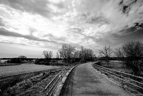 am Steengracht Kanaal - P.i.P. (© Buelipix)