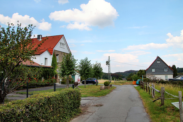 Alter Kohlenweg (Sprockhövel) / 16.08.2020