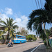 Dame Scoopy et autobus