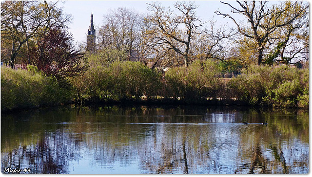 PARC du TEICH (33 Gironde)