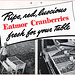 Cranberries, And How To Cook Them (5), c1940