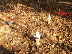 Enfin.....un cimetière !  A cemetery at last !