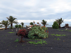 Playa de las Cucharas