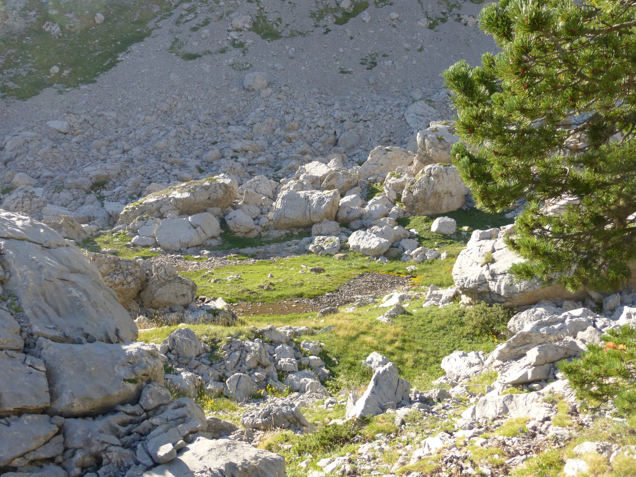 P1000643