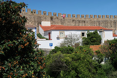 View from the town wall