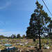 Cimetière Malaisien / Malaysian cemetery