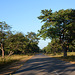 Zimbabwe, Road Landscape in Hwange National Park