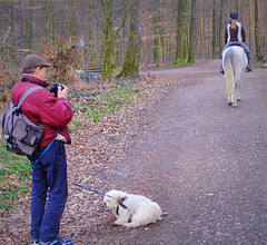 two people,,two animals ,one bench