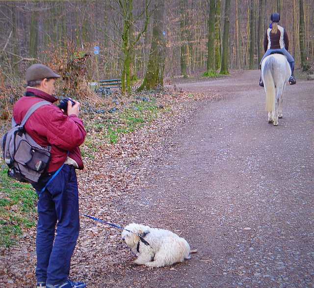 two people,,two animals ,one bench