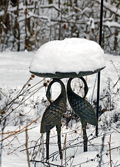 Birdbath in the Snow