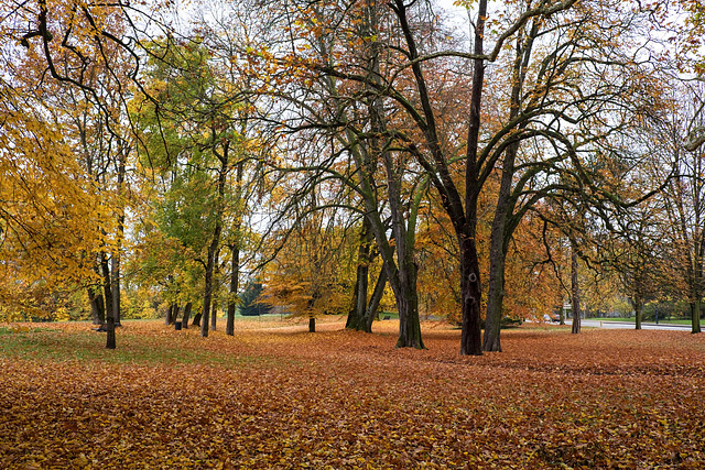 BESANCON: Les Glacis: Couleurs d'automne.