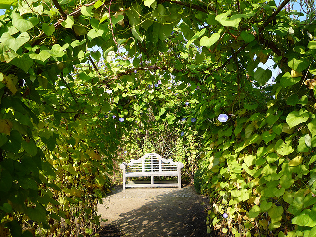 Ruhebank im Arboretum