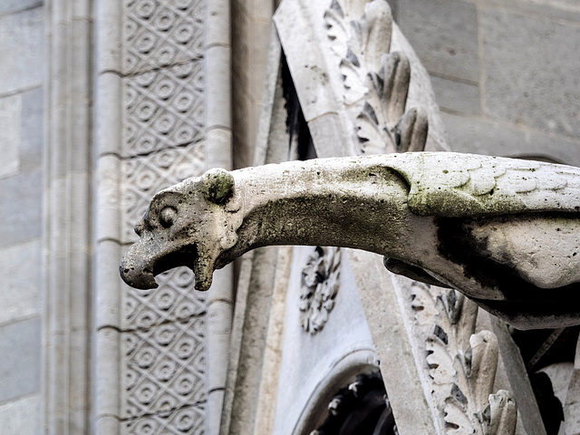 Cathédrale Notre-Dame de Paris