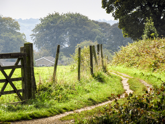 Path to the farm