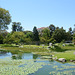 In the Japanese Garden of Buenos Aires