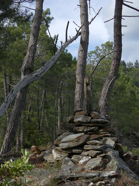 20190622 Rando solo St André de Valborgne (Cevennes) (223)