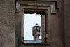 Latvia, Odziena Manor Castle, Turret above Main Entrance