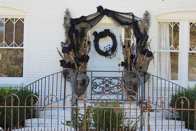 A "Spoookie" Entrance :)   Happy Fence Friday :)) ....   Booo!