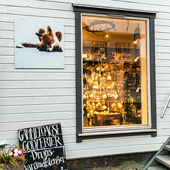 #18 - Gudrun - Shop Window, Henningsvaer - 25̊ 1point