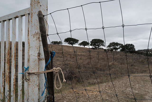 Alqueva, Fenced, HFF