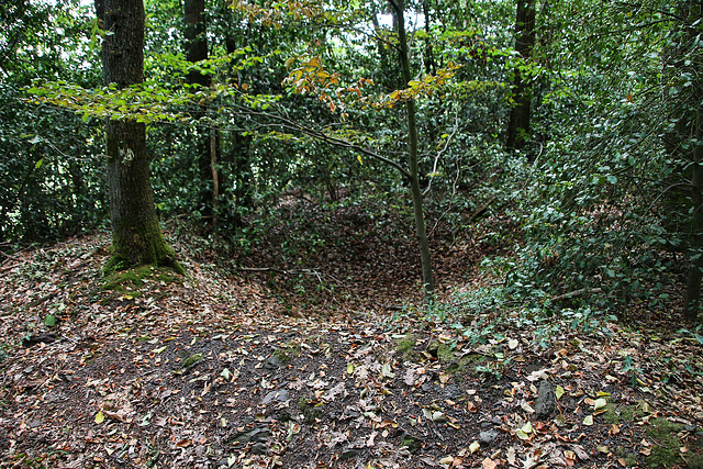 Eine Pinge der ehem. Zeche Frosch (Sprockhövel) / 16.08.2020