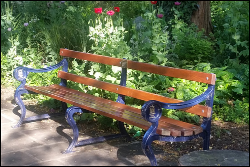 seat in the morning sun