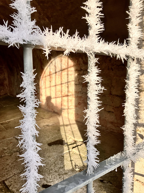 hFF….hoar frost fence :) hFF….hoar frost fence :)