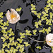 20210713 1687CPw [D~LIP] Wasser-Pest (Egebia densa), Wasserlinse (Lemna minor), Bad Salzuflen