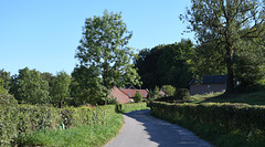 Road to Beertsenhoven