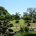 In the Japanese Garden of Buenos Aires