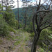 20190622 Rando solo St André de Valborgne (Cevennes) (236)