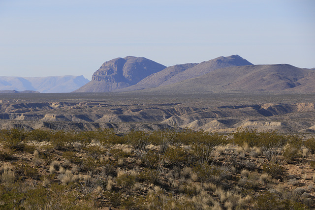 Grapevine Hills