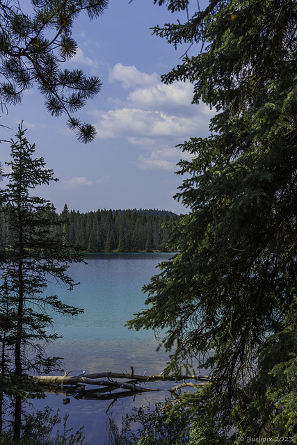 am Lake Annette (© Buelipix)