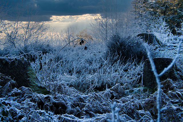 Frostige Zeiten