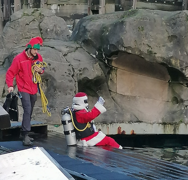 Sogar der Weihnachtsmann geht tauchen